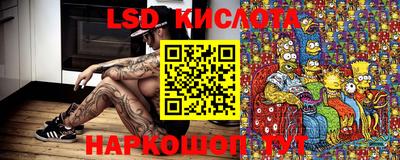тгк Заводоуковск