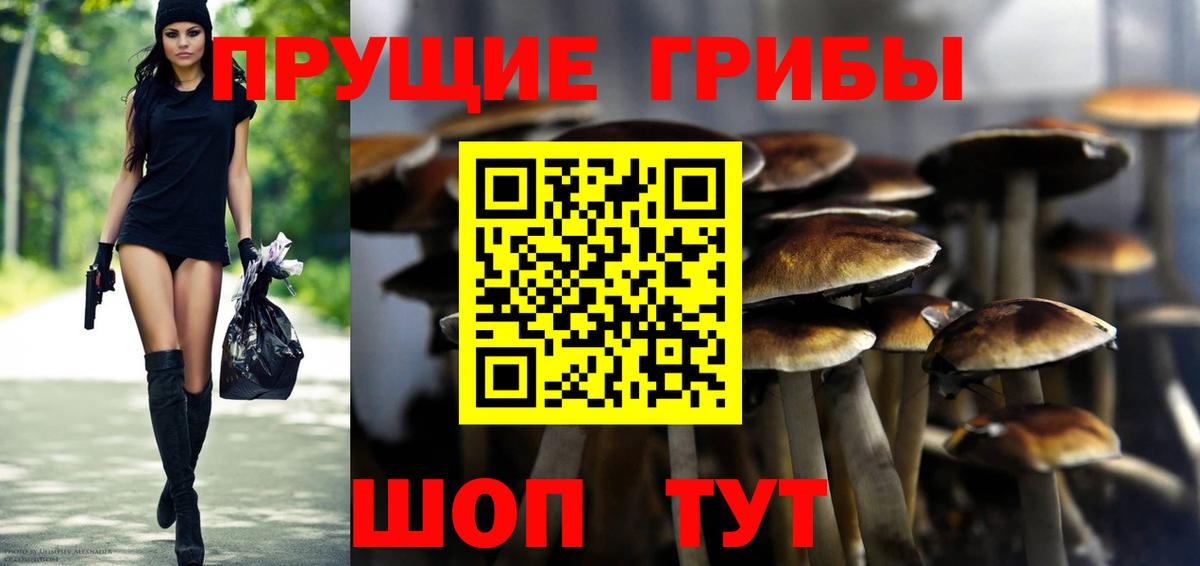 Псилоцибиновые грибы ЛСД Лосино-Петровский