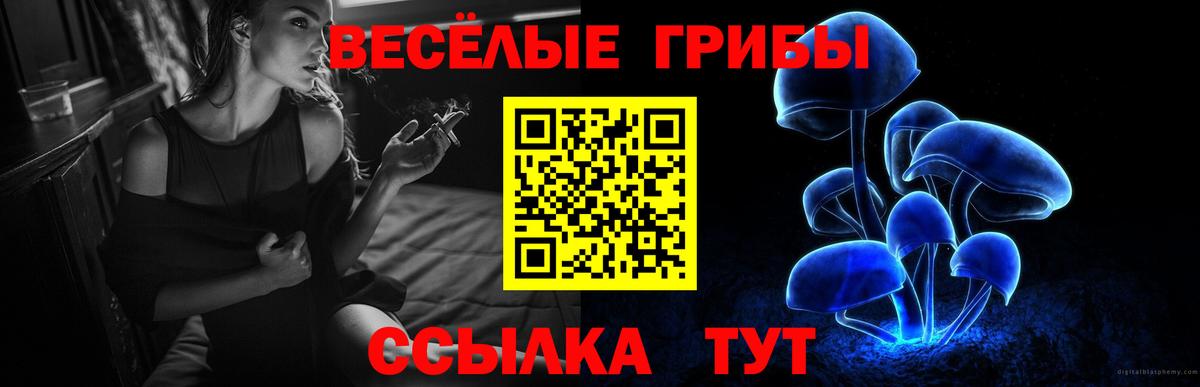 Лосино-Петровский  где найти   Вход с VPN  Галлюциногенные грибы Magic Shrooms 